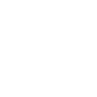 Top Pro Badge white