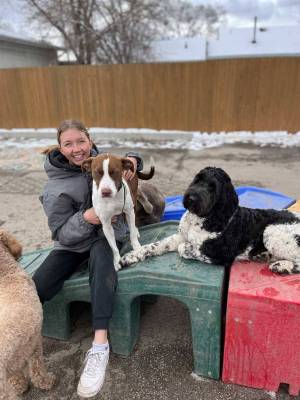 Staff with dogs